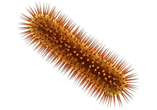Spiky bacterium illustration isolated on transparent background