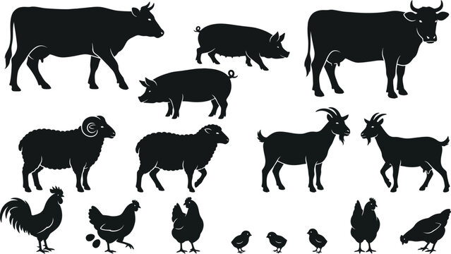 Farm Animal Silhouettes, Black Icons, Vector Set of 13 Rural Cattle, Goat, Sheep, Pig, Chicken Farm Animals