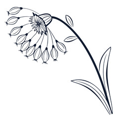 abstract floral background © fatema tuj zohora
