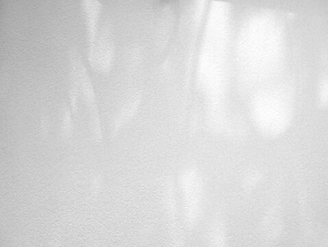 Leaf shadow and light on white concrete wall, overlay effect for photo, mock up, product, wall art, design on a transparent background