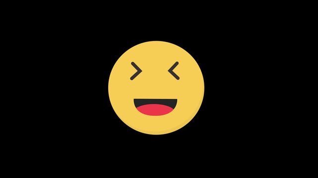 Laughing Face Animation