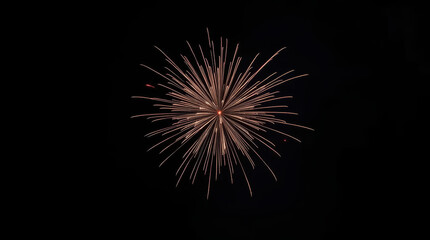 Fototapeta premium Gold burst fireworks explosion with radiant streaks against black sky