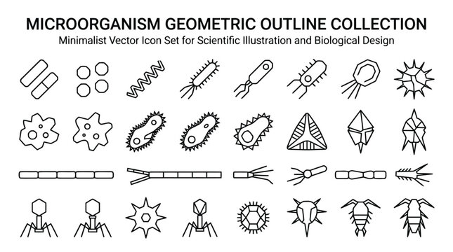  Microorganism Outline Collection Bacteria Protozoa Algae Icon Art