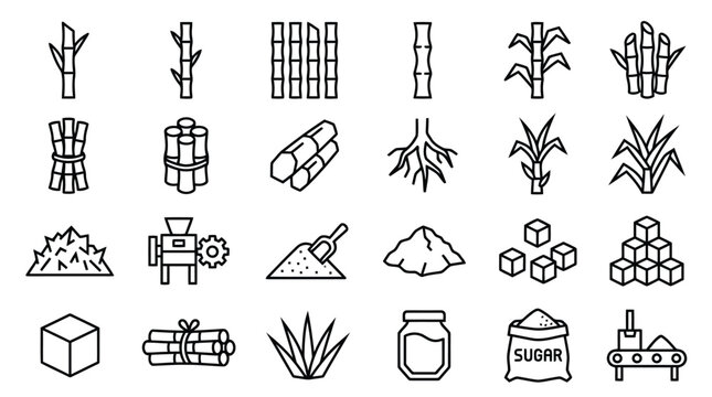 Sugarcane Production Outline Icon Collection Agriculture Line Art