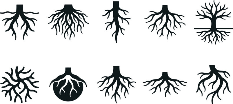 Tree Root System Silhouette Icons Set for Botanical Studies, Nature Designs, Eco Logos, Gardening Projects, Environmental Concepts, and Organic Graphic Element Graphics
