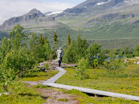 Visitors walking along a wooden boardwalk through alpine heath with mountains in the background in Stora Sj&ouml;fallet National Park, Swedish Lapland. Scenic summer landscape in the UNESCO World Heritage 