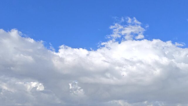 4K Timelapse of white and gray cumulus clouds morphing and changing shapes in the bright blue sky, scenic low angle view of dynamic cloud formation and weather atmosphere