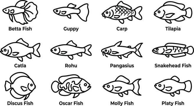 Freshwater and Aquarium Fish Species Line Icon Set with Betta, Guppy, Carp, Tilapia, Catla, Rohu, Pangasius, Snakehead, Discus, Oscar, Molly, and Platy Symbols