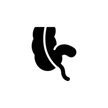 Stylized Icon of Human Intestines, Colon and Appendix, Medical Symbol