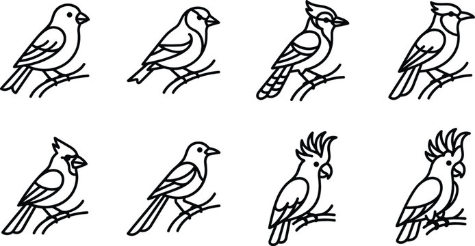Songbirds and Perching Avian Wildlife Line Icon Set with Sparrow, Blue Jay, Cardinal, Nightingale, and Cockatoo Parrot Symbols on Tree Branches