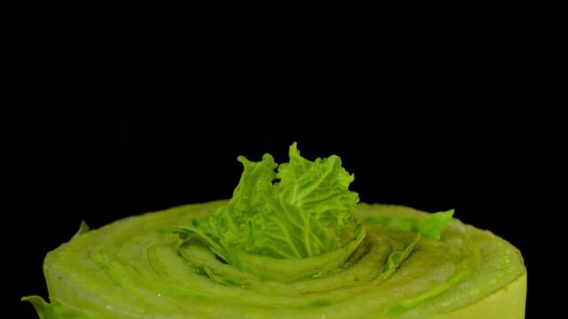 Macro time-lapse of a cabbage emerging and unfolding leaves in soft light.