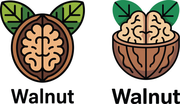 Walnut cartoon icon set with green leaves whole and half cracked nut vector illustration isolated on white background
