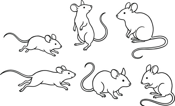 Mouse outline set isolated on transparent background for kids animal graphics.