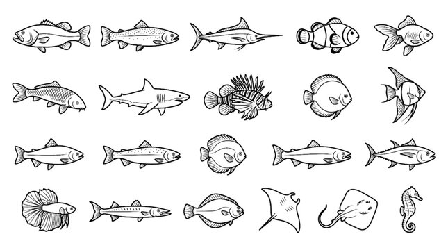Bass Trout Marlin Sunfish Koi Tuna Pike Clownfish Catfish Snapper Flounder Betta Fish Black and White Vector Illustration Set