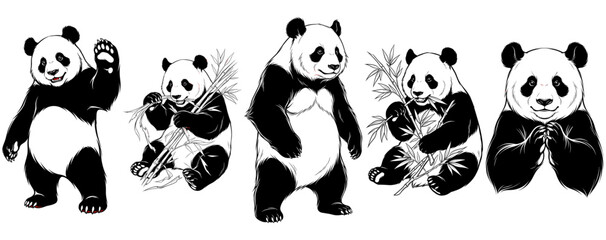 Giant panda bear set. Black ink vector illustration. Wildlife conservation nature theme. For t-shirt print and apparel design. Suitable for stickers, logos, and mascots. © codeblend