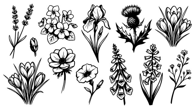 Black and white vector illustration of various floral designs