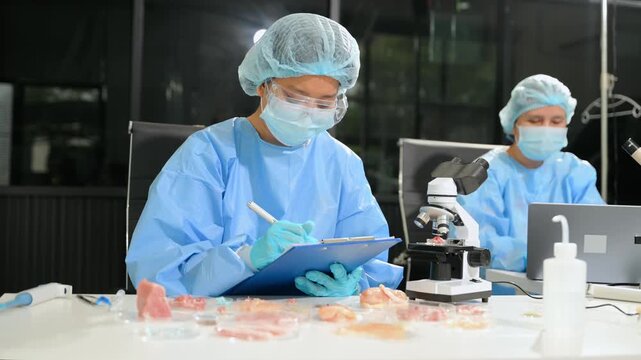 Food scientists examining meat samples in a laboratory. Food safety, quality control, microbiology, biotechnology, laboratory research and professional teamwork.