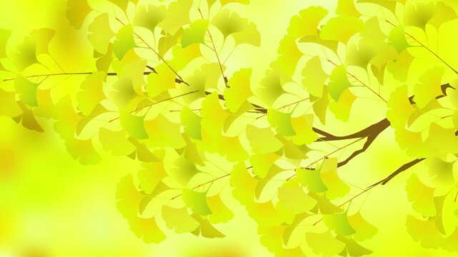 Vibrant Yellow Ginkgo Leaves in Autumn 4K