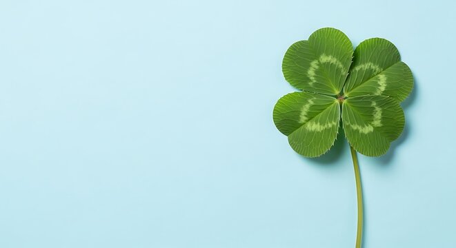 Four leaf clover on a light blue background with space for text or design elements