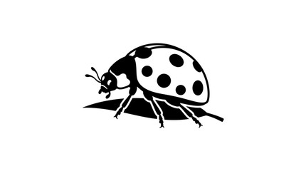 Fototapeta premium Ladybug Silhouette Icon on White Background