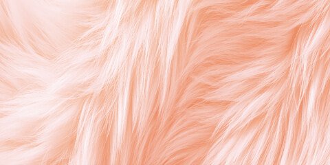 Soft peach colored feather texture background with fluffy strands, Pastel colored plumage detail, Vector illustration for design © Namira