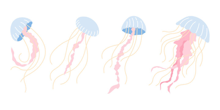 Jellyfish Element Set in Hand Drawn Flat Cartoon Style. Blue and pink jellyfish, sea jelly, marine life, ocean animal, underwater creature and summer aquatic collection
