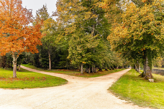 Fork in the road