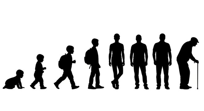 Silhouette sequence of human evolution and aging stages.