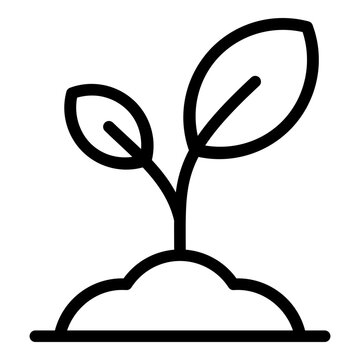 sprout icon