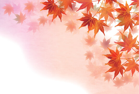 Elegant autumn maple leaves background illustration