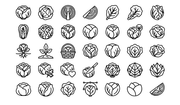 Cabbage line art icons fresh produce farming and healthy eating graphics
