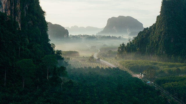 Drone View of Misty Forest Road and Limestone Peaks at Sunrise