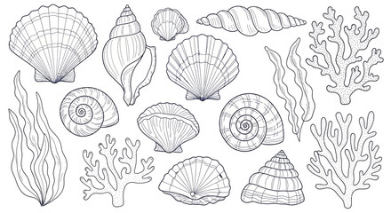 Comprehensive vector illustration set featuring a diverse collection of marine life including tropical fish, coral reef organisms, sea turtles, and aquatic vegetation on a white background. © nawaitu