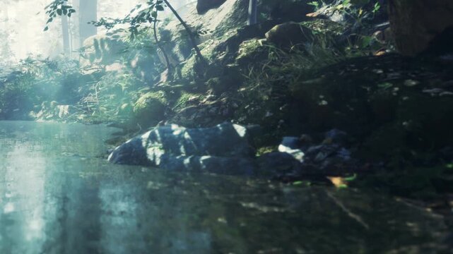 A forest scene shows low fog hovering over a stream. Lush greenery lines the water, and several rocks are visible. Sunlight filters through the trees.