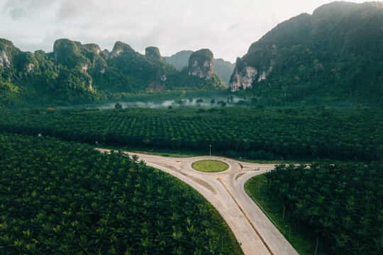 Aerial View of Circular Roundabout Intersection in Green Palm Forest