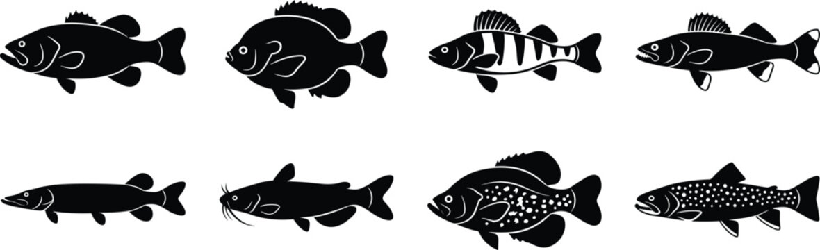 Freshwater Sport Fish Silhouette Vector Set with Popular Game Fish Species Collection