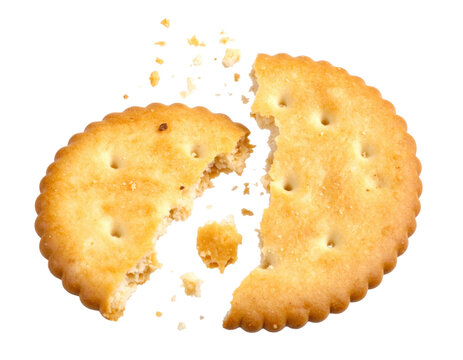 Round cracker broken in half with crumbs