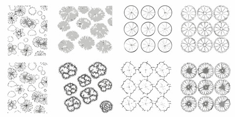 top down sketches of various tree shapes in black and white drawings silhouettes landscape architecture botanical vector illustration graphic design © Raj
