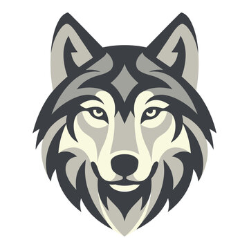 Gray wolf head illustration with sharp teeth and piercing eyes  animal face icon