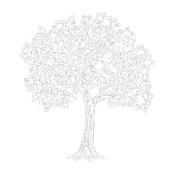 Majestic-Green-Deciduous-Tree-Hand-Drawn-Nature-Illustration-Isolated-Botanical-Vector-Style-Design-For-Branding-And-Adobe-Stock