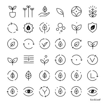 Eco and leaf line icons set, sustainable nature symbols and organic environment vector elements, 36 minimalist green energy and recycling signs