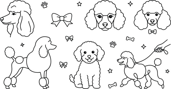 Cute Cartoon Poodle Dog and Grooming Care Element Icon Set Line Art Symbols