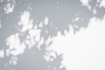 Obraz premium Dappled light and shadow filtering through foliage, blurred monochrome texture