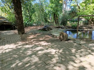 Kura kura di kebun binatang  © Danik