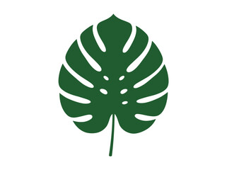 Green Monstera Leaf Silhouette. © Gerry