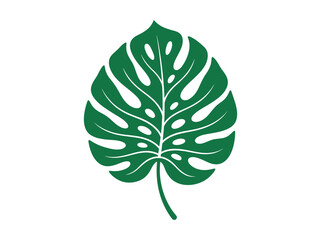 Green Monstera Leaf Illustration. © Gerry