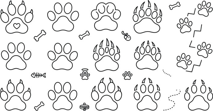 Animal Paw Print Track Set with Wild Bear Claws and Pet Bone Elements
