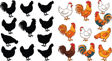 Rooster and Hen Vector Illustration Set with Matching Black Silhouettes and Colorful Farm Poultry Birds Isolated on White Background for Agriculture Graphic Designs © MdMOSTOFA