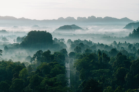 Drone View of Misty Forest Road and Limestone Peaks at Sunrise