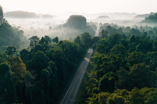 Drone View of Misty Forest Road and Limestone Peaks at Sunrise